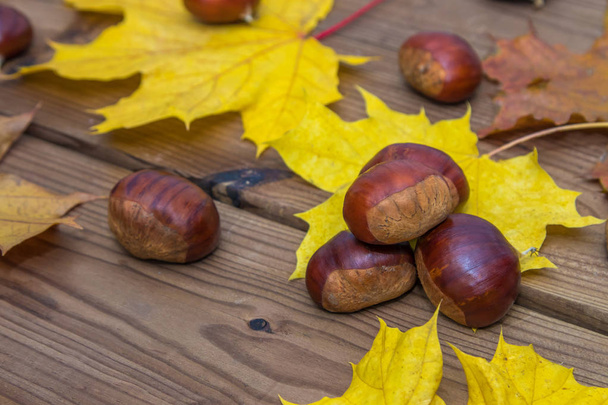 Jedlé kaštany, podzimní listí a rustikální dřevo - Fotografie, Obrázek