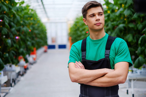 Hombre trabajando en un invernadero
 - Foto, Imagen