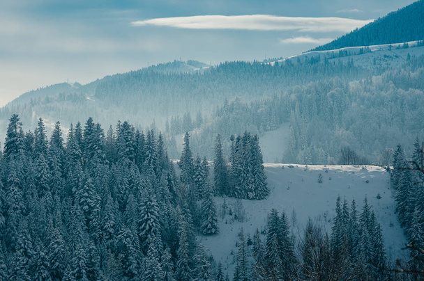 Breathtaking winter mountain landscape covered with snow, forests in the misty distant backdrop. Picturesque and peaceful wintry scene European resort location. Sunny day with clouds. Copy space - Fotografie, Obrázek