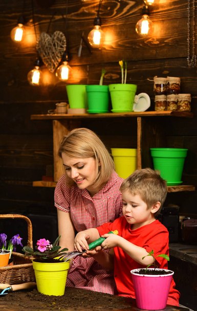 Seedling concept. Mother and little child transplanting flower seedling. Mother and son replant flower in seedling pot. Seedling flower - Photo, image