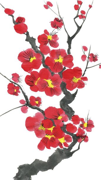 A branch of a blossoming sakura. Pink and red stylized flowers of plum mei and  wild cherry . Watercolor and ink illustration of tree in style sumi-e, go-hua,  u-sin. Oriental traditional painting. - Foto, immagini