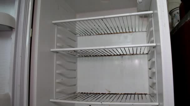 закриває двері порожнього старого холодильника
 - Кадри, відео