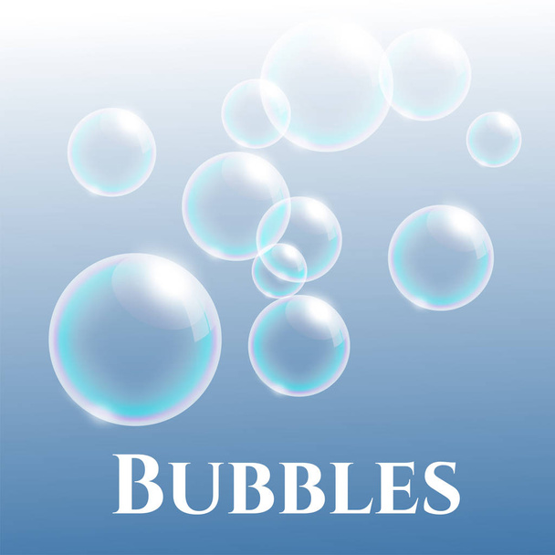 group of transparent soap bubbles with reflection, vector illustration - ベクター画像