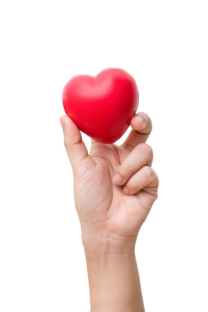 Kırmızı kalp top: stres kesici köpük kırmızı kalp şekli kırpma yolu ile beyaz arka plan üzerinde izole kadın elindeki topu - Fotoğraf, Görsel