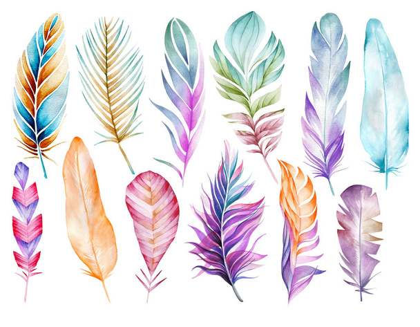 Set of bird feathers. Ease. Watercolor drawing. Natural elements. Pastel shades. Isolated objects on white background. - Photo, image