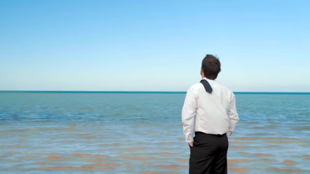 Бизнесмен стоит на пляже и смотрит на море
 - Кадры, видео