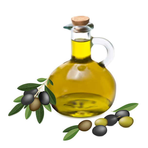 Оlive oil and olive branch - Vector, imagen