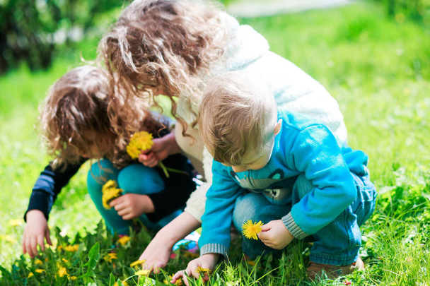 Drei Kinder sammeln im Frühjahr auf dem grünen Rasen Löwenzahn. Gelber Löwenzahn in den Händen eines Geschwisterpaares. Glückliche Kindheit. Kinder ohne Telefone. - Foto, Bild