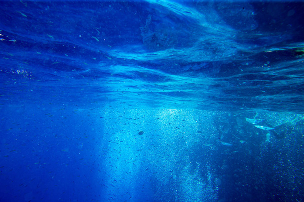 Tranquilo cena subaquática com espaço de cópia - Foto, Imagem