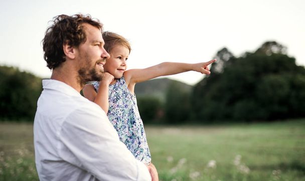 Young father in nature holding small daughter in the arms. Copy space. - Fotoğraf, Görsel