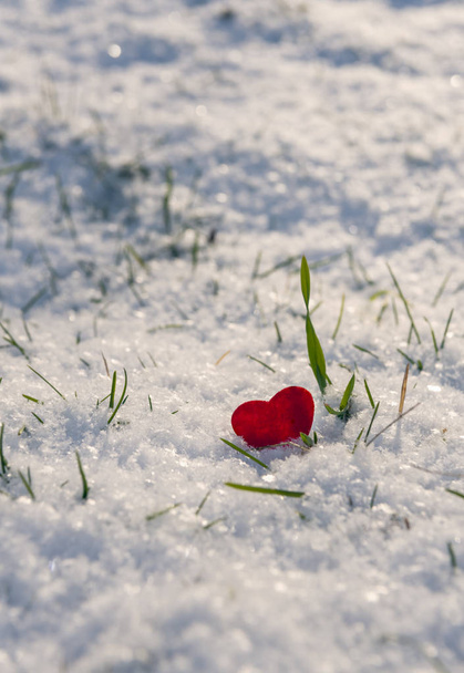 Одинокая форма сердца красного цвета помещается в пушистый белый снег
 - Фото, изображение