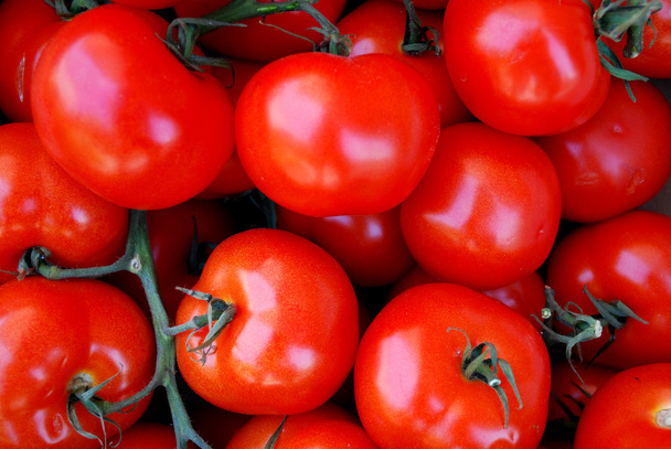 Tomatos - Photo, image