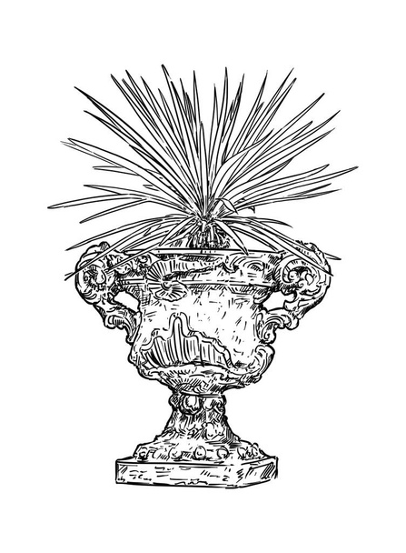 Drawing of Old Antique Ornamental Stone Goblet or Vase With Yucca Plant - 写真・画像