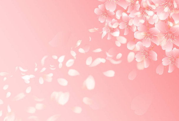 Kersenbloesem lente bloem achtergrond - Vector, afbeelding
