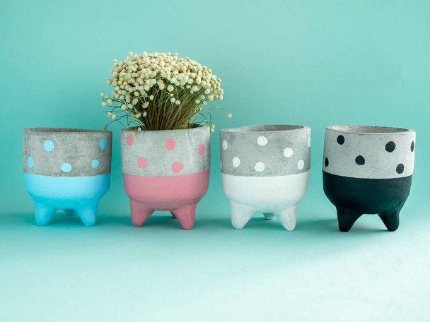 Row of colorful cute polka dot pattern on concrete planters with flower. Painted concrete pots for home decoration on light green background with copy space. - Photo, Image