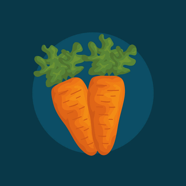 zanahorias frescas verduras icono
 - Vector, imagen