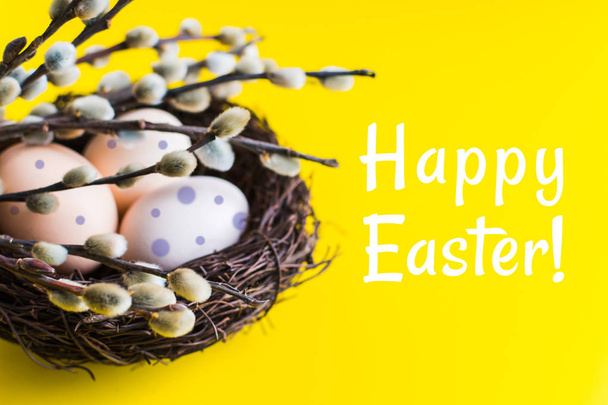 κοτόπουλο αυγά σε φωλιά με ένα κλαράκι από ιτιά. ευτυχισμένο Πάσχα έννοια. - Φωτογραφία, εικόνα