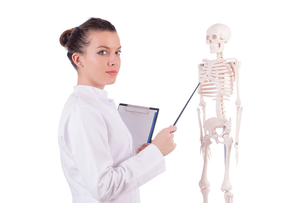 Доктор со скелетом на белом - Фото, изображение