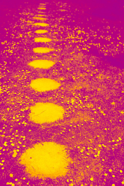 Kamenný chodník. Duplexový efekt purpurová a žlutá pro tónování fotografie konceptu - Fotografie, Obrázek