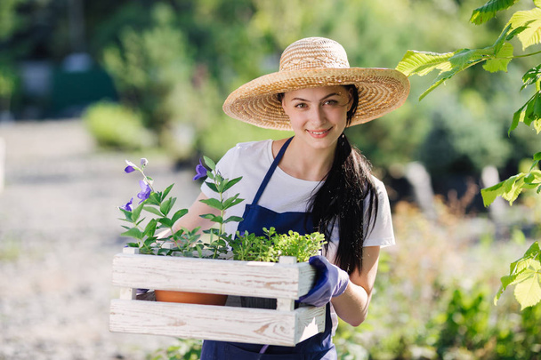 Gardening concept. Beautiful young woman gardener with flowers in wooden box - 写真・画像