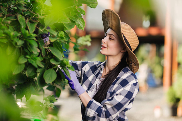 Beautiful young woman in checkered shirt and straw hat gardening outside at summer day - Foto, Imagem