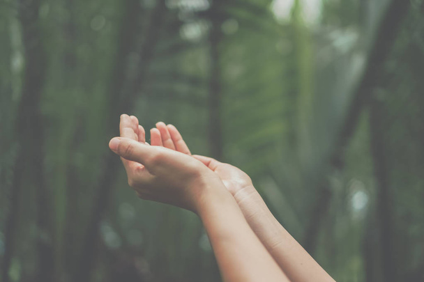 Женщина руки положить вместе, как молиться на зеленом фоне природы
. - Фото, изображение