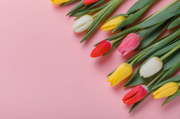Spring Tulips Flowers Concept. Valentine's Day, Woman's Day, Mother's Day. - 写真・画像