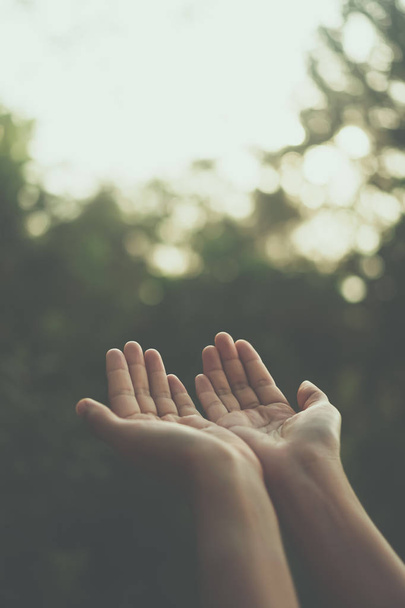 Žena ruce místo dohromady jako modlí před přírodní zelené pozadí. - Fotografie, Obrázek
