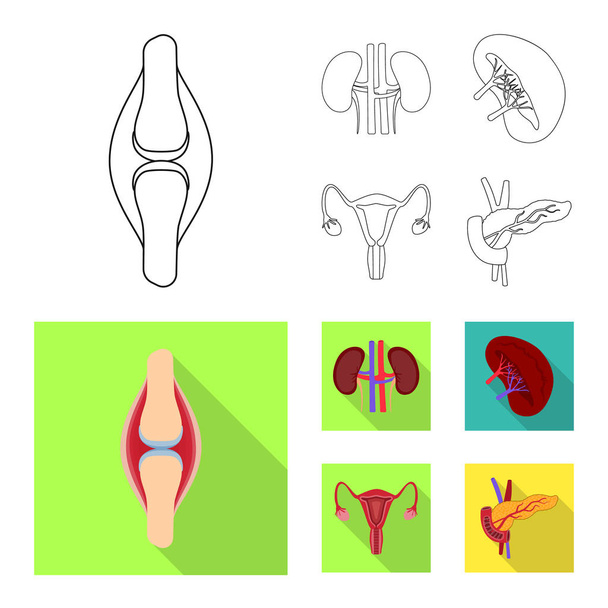 Vector design of biology and scientific icon. Collection of biology and laboratory stock symbol for web. - Vektor, Bild