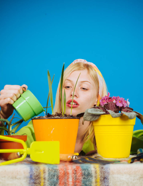 Woman planting flowers in pot. Beautiful young woman gardening. Watering flowers. Gardener woman planting flowers. Cute blonde gardening at isolated background. - Foto, Imagem