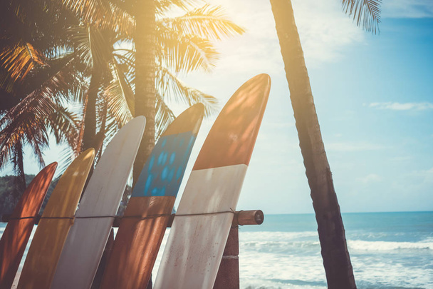 Wiele desek surfingowych obok drzew kokosowych na letniej plaży z słońcem i błękitnym tle nieba. - Zdjęcie, obraz