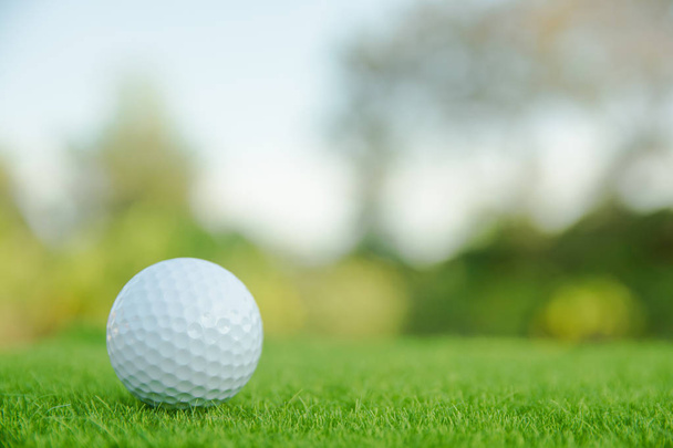 Golf labda, zöld fű, készen áll a játékra a golfpályán. a hely másolás - Fotó, kép