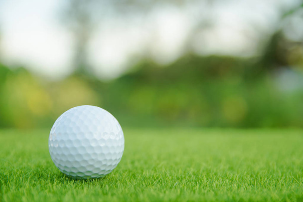 Golf ball on green grass ready to play at golf course. with copy space - Photo, Image
