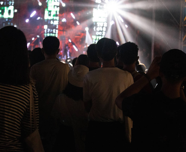 Groep mensen die plezier op muziek concert - Foto, afbeelding