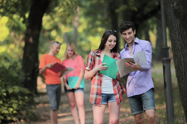 group of students discussing exam questions standing in the Park - Foto, Imagem