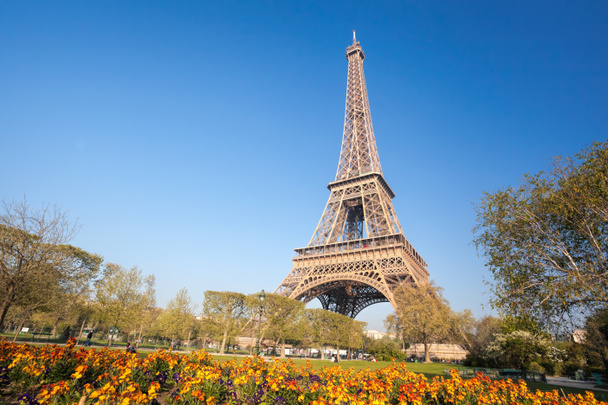 Эйфелева башня с весенними деревьями в Париже, Франция
 - Фото, изображение