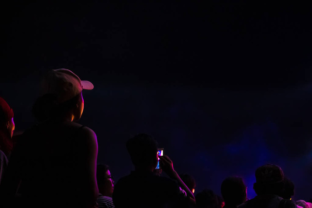 Группа людей, развлекающихся на музыкальном концерте
 - Фото, изображение