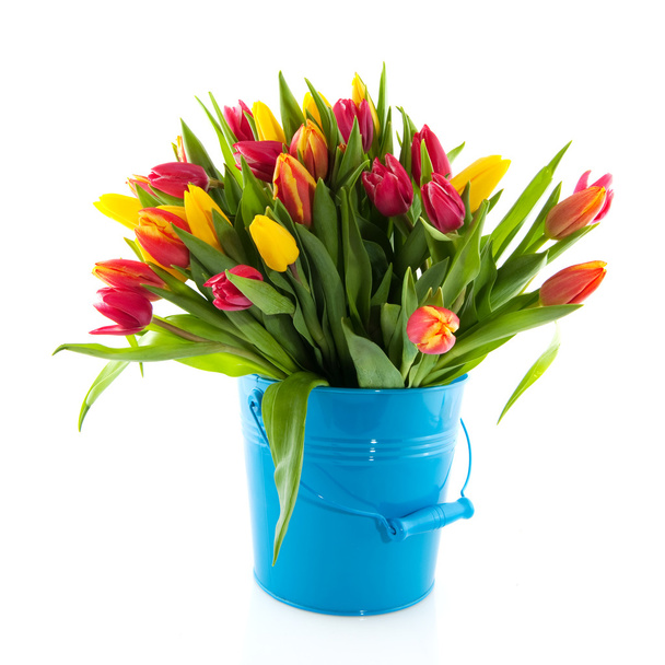 Bouquet tulips - Fotoğraf, Görsel