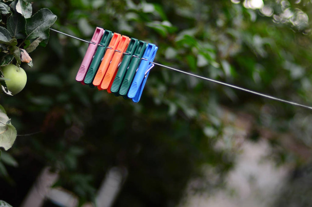 Pinzas de tela en una cuerda colgando fuera de la casa, manzano y fondo borroso
 - Foto, Imagen