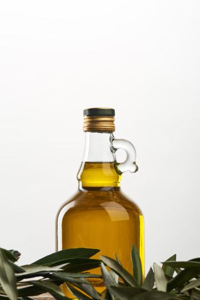 bottle of oil and olive tree leaves isolated on grey  - Фото, зображення