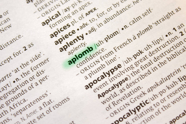 Aplomb word or phrase in a dictionary - Photo, Image