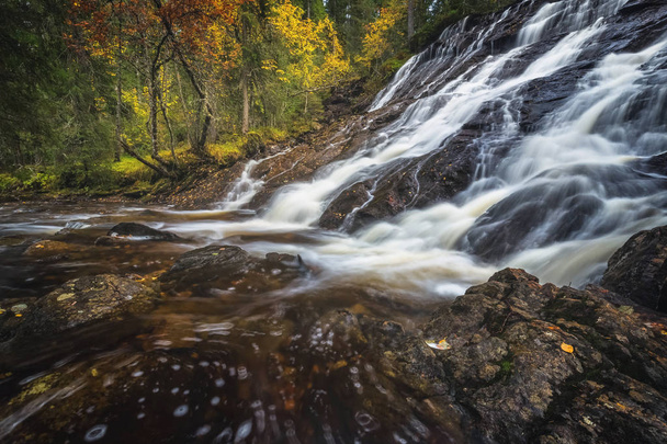 Watervallen in de rivier van de Sagelva in de buurt van Jonsvatnet lake in Trondheim gebied. Herfst landschap van boreale bossen. - Foto, afbeelding
