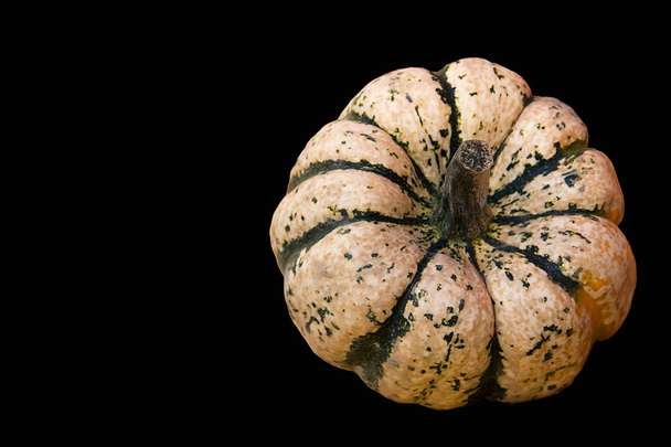 Pumpkins isolated - Photo, Image