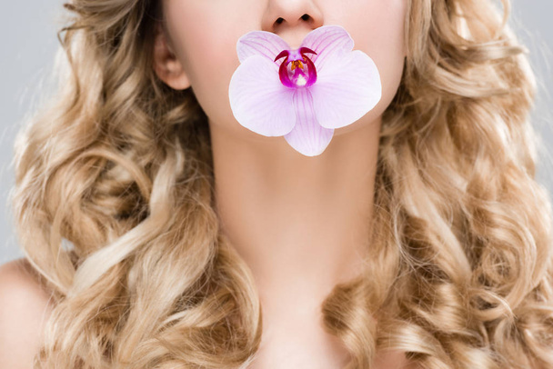 abgeschnittene Ansicht einer jungen Frau mit lila Orchidee im Mund isoliert auf grau - Foto, Bild