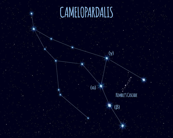 Zürafa (zürafa) takımyıldızı, yıldızlı gökyüzü karşı temel yıldız isimleri ile vektör çizim - Vektör, Görsel