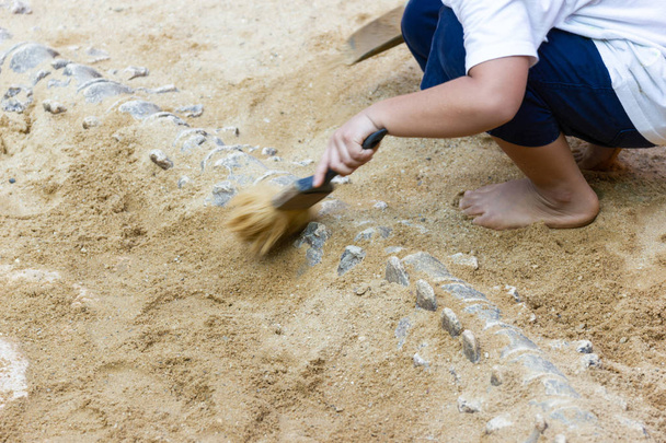 Niños aprendiendo sobre, Excavación de fósiles de dinosaurios simulación en el parque
.  - Foto, Imagen