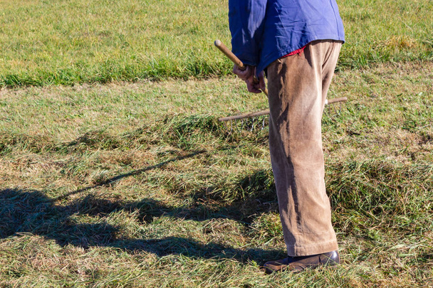 dokładne przyjrzenie się starszy farmer grabienie w południowej Niemcy jesienią trawnik i niebieski niebo słońce - Zdjęcie, obraz
