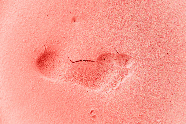 Impronta nella sabbia in Colore dell'anno 2019 Pantone - Living Coral
  - Foto, immagini