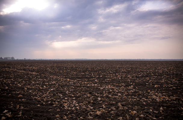 Plowed and sown field in early spring - 写真・画像