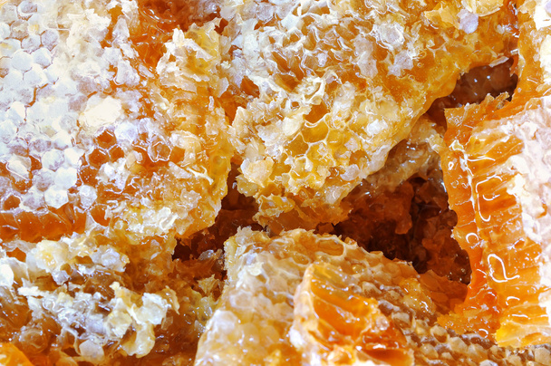 Honeycomb closeup - Фото, изображение